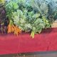 Local Farm to Feet: Sustainable Sock Farming | The Conscious Farmer | Sustainable Agriculture for a Healthier Planet