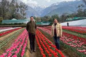 Begin Aroma Farming: Grow Fragrant Fields! | The Conscious Farmer | Sustainable Agriculture for a Healthier Planet
