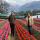 Begin Aroma Farming: Grow Fragrant Fields! | The Conscious Farmer | Sustainable Agriculture for a Healthier Planet