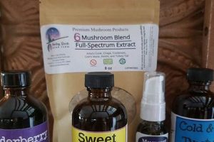 Natural Healing Spirits Herb Farm: A Sustainable Haven | The Conscious Farmer | Sustainable Agriculture for a Healthier Planet