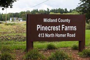 Discover Pinecrest Farms: Your Guide to Sustainable Farming | The Conscious Farmer | Sustainable Agriculture for a Healthier Planet