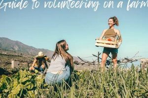 Be a Valued Farm Volunteer: Roles & Benefits | The Conscious Farmer | Sustainable Agriculture for a Healthier Planet