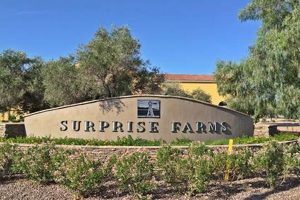 Urban Surprise Farms: A New Era of Farming | The Conscious Farmer | Sustainable Agriculture for a Healthier Planet