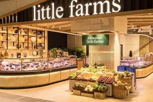 Grow Your Own: The Rise of Sustainable Lil Farms | The Conscious Farmer | Sustainable Agriculture for a Healthier Planet