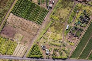 Grow With Us: La Kahea Community Farm Guide | The Conscious Farmer | Sustainable Agriculture for a Healthier Planet