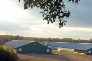 Poultry Farming: Sanderson Farms Jobs &amp; Careers Today | The Conscious Farmer | Sustainable Agriculture for a Healthier Planet