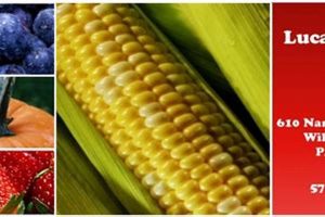 Local Lucas Farms Guide: Your Guide to Fresh Harvests | The Conscious Farmer | Sustainable Agriculture for a Healthier Planet