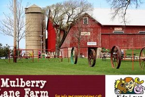 Discover Mulberry Farms in WI: A Guide to Local Growing | The Conscious Farmer | Sustainable Agriculture for a Healthier Planet