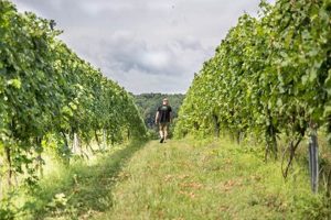 Visit Great Valley Farm Brewery & Winery: A Farming Escape! | The Conscious Farmer | Sustainable Agriculture for a Healthier Planet