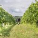 Visit Great Valley Farm Brewery & Winery: A Farming Escape! | The Conscious Farmer | Sustainable Agriculture for a Healthier Planet
