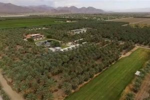 Visit a Date Farm Palm Springs Oasis: Tours &amp; More | The Conscious Farmer | Sustainable Agriculture for a Healthier Planet