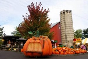 Bengtson's Fall Fest Tickets: Farm Fun Awaits! | The Conscious Farmer | Sustainable Agriculture for a Healthier Planet