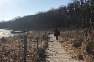 Discover Crosby Farms: Your Local Farm Fresh Choice | The Conscious Farmer | Sustainable Agriculture for a Healthier Planet