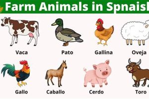 Learn Farm Animals in Spanish: Names &amp; More! | The Conscious Farmer | Sustainable Agriculture for a Healthier Planet
