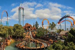 Knott's Berry Farm Address: Your Guide + Parking Info | The Conscious Farmer | Sustainable Agriculture for a Healthier Planet