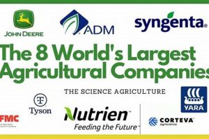 Top Largest Farming Companies: Leaders in Agriculture | The Conscious Farmer | Sustainable Agriculture for a Healthier Planet