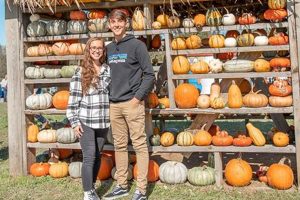 Farming at Bear Wallow Farm: A Wildlife Haven! | The Conscious Farmer | Sustainable Agriculture for a Healthier Planet