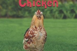 Exploring ZooZoo Farms: Sustainable Agriculture | The Conscious Farmer | Sustainable Agriculture for a Healthier Planet