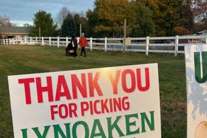 Discover Lynoaken Farms: Sustainable Farming at its Finest | The Conscious Farmer | Sustainable Agriculture for a Healthier Planet