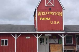 Your Guide: Wellington Farm Adventures & Beyond | The Conscious Farmer | Sustainable Agriculture for a Healthier Planet