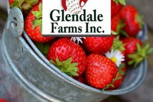 Discover Glendale Farms: Sustainable Farming Excellence | The Conscious Farmer | Sustainable Agriculture for a Healthier Planet