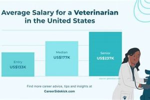Animal Vet Salary: Farm Pay & Future Outlook | The Conscious Farmer | Sustainable Agriculture for a Healthier Planet