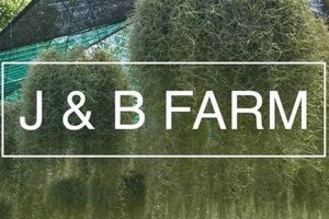 Discover J&B Farms: Sustainable Farming Excellence | The Conscious Farmer | Sustainable Agriculture for a Healthier Planet