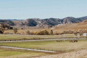 Your Farm Stay California Getaway: A Rustic Retreat! | The Conscious Farmer | Sustainable Agriculture for a Healthier Planet