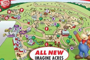 Exploring David's Farm Land: A Farming Gem | The Conscious Farmer | Sustainable Agriculture for a Healthier Planet