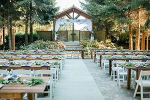 Discover Sustainable Woodland Meadow Farms: A Green Farming Future | The Conscious Farmer | Sustainable Agriculture for a Healthier Planet