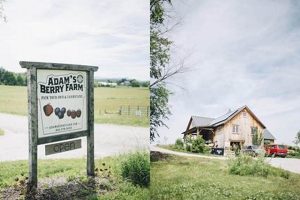 Visit Adams Berry Farm: Fresh, Local Berries & More! | The Conscious Farmer | Sustainable Agriculture for a Healthier Planet