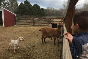 Visit Lee Martinez Farm: A Family Farming Tradition | The Conscious Farmer | Sustainable Agriculture for a Healthier Planet