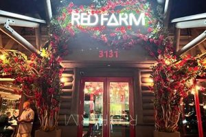Red Farm Coconut Grove: A Modern Chinese Escape! | The Conscious Farmer | Sustainable Agriculture for a Healthier Planet
