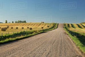 Essential Farm Roads: Access & Durability for Farming | The Conscious Farmer | Sustainable Agriculture for a Healthier Planet