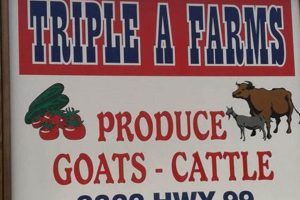 More Than Just Triple A Farms: Quality Farming! | The Conscious Farmer | Sustainable Agriculture for a Healthier Planet