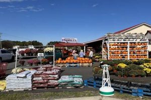 Discover Parsons Farms: Fresh, Local Goodness | The Conscious Farmer | Sustainable Agriculture for a Healthier Planet