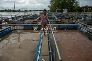 Your Farm: Fish Farm Farihavcen Guide & Tips | The Conscious Farmer | Sustainable Agriculture for a Healthier Planet