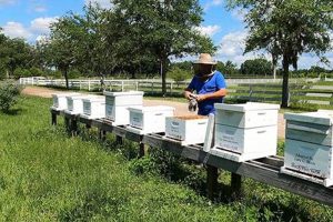 Eco Bee Friends Farm: Honey & Pollination Bliss The Conscious Farmer | Sustainable Agriculture for a Healthier Planet Eco Bee Friends Farm: Honey & Pollination Bliss | The Conscious Farmer | Sustainable Agriculture for a Healthier Planet
