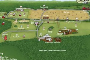 Your Local Calleva Farm: Produce &amp; More! | The Conscious Farmer | Sustainable Agriculture for a Healthier Planet