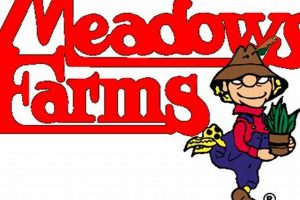 Transform Your Farm: Meadows Farms Landscaping Ideas | The Conscious Farmer | Sustainable Agriculture for a Healthier Planet