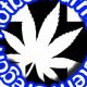 Visit Hotbox Farms Huntington OR | Deals & Reviews | The Conscious Farmer | Sustainable Agriculture for a Healthier Planet