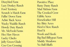Creative Fun Farm Names: Ideas + Tips For Farming | The Conscious Farmer | Sustainable Agriculture for a Healthier Planet