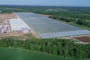 Grow with Green Empire Farms: Sustainable Farming | The Conscious Farmer | Sustainable Agriculture for a Healthier Planet