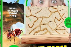 Best Ant Farm Kit: Build Your Own Mini Farm! The Conscious Farmer | Sustainable Agriculture for a Healthier Planet Best Ant Farm Kit: Build Your Own Mini Farm! | The Conscious Farmer | Sustainable Agriculture for a Healthier Planet