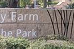 Discover Montgomery Farms: Fresh from Our Fields | The Conscious Farmer | Sustainable Agriculture for a Healthier Planet
