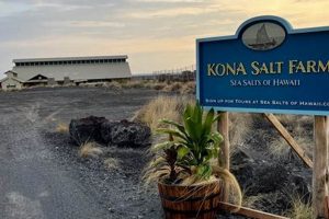 Discover Kona Salt Farm's Hawaiian Sea Salt Taste | The Conscious Farmer | Sustainable Agriculture for a Healthier Planet