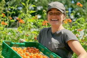 Local Holcomb Farm CSA: Fresh Produce & Community | The Conscious Farmer | Sustainable Agriculture for a Healthier Planet