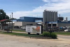 Explore Tamarack Farms Dairy: Fresh, Local &amp; More! | The Conscious Farmer | Sustainable Agriculture for a Healthier Planet