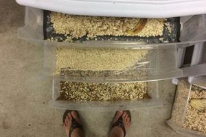 Profitable Meal Worm Farm: Tips &amp; Sustainable Farming | The Conscious Farmer | Sustainable Agriculture for a Healthier Planet
