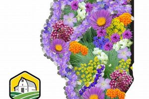 Discover Clearview Farm: Fresh & Sustainable | The Conscious Farmer | Sustainable Agriculture for a Healthier Planet